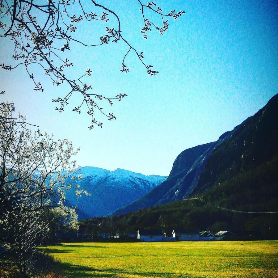 Aobrio Holidayhouse, Authentic Norwegian Farmhouse Close To Flam Lærdalsøyri Kültér fotó